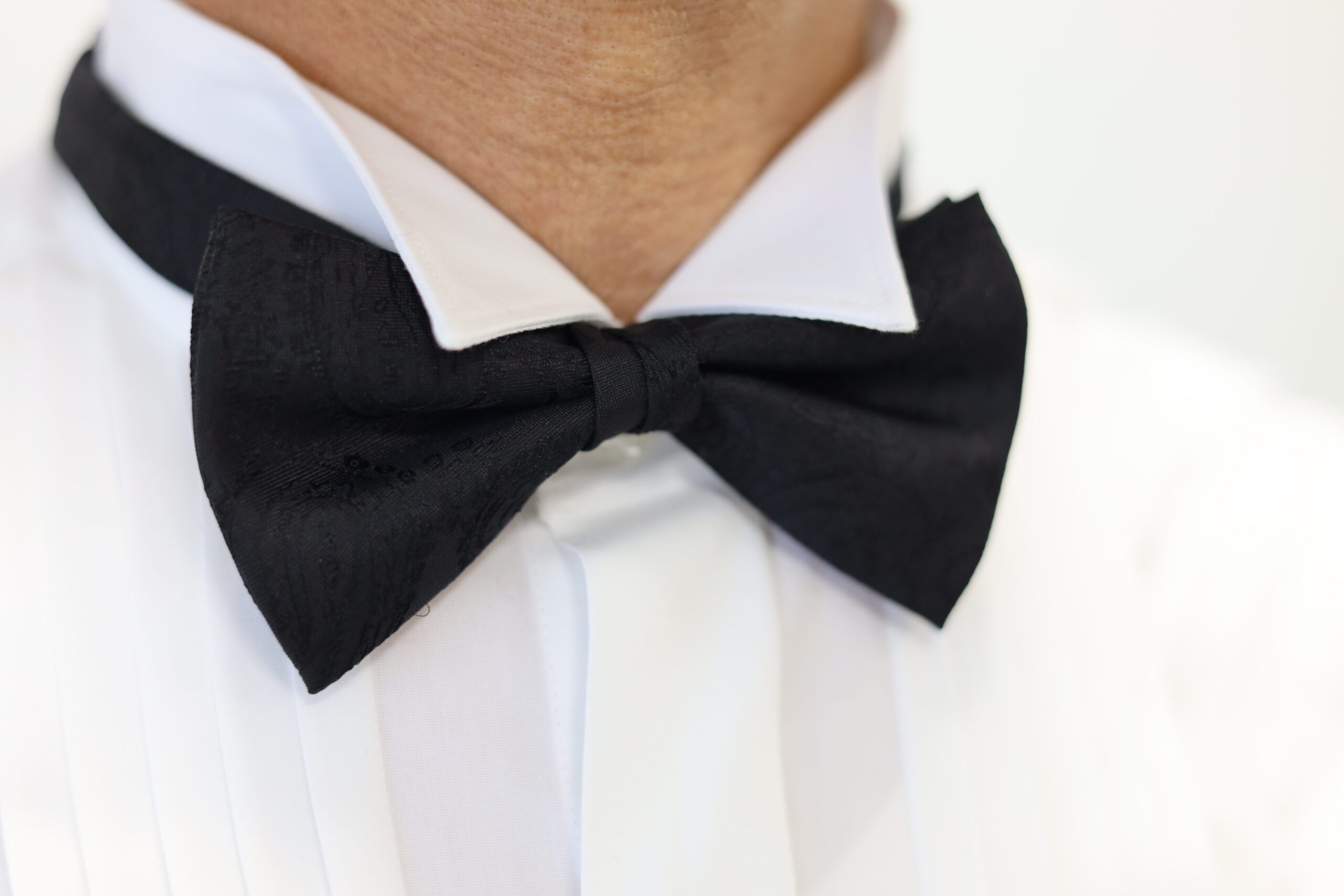 蝶タイ - 画像 (2)